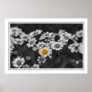 Suche nach speziell poster Natur