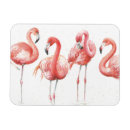 Recherche de de flamant magnets Animal