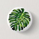 Suche nach grüne palmen buttons Natur