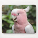 Suche nach rosa papagei mousepads Vogelvogel
