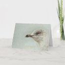 Suche nach strandvogel Seegras