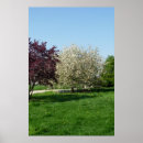 Recherche de beaux paysages posters Arbres