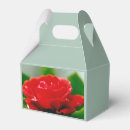Suche nach tautropfen Rose