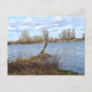 Suche nach sonniger himmel postkarten Natur