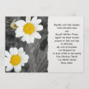 Recherche de modèle floral photographie Marguerite