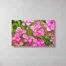 Suche nach anemone leinwandbilder Rosa blume