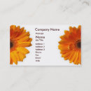Recherche de gerber cartes visite Affaires