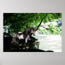 Recherche de peintures licorne posters Pour elle