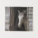 Recherche de jument art Chevaux