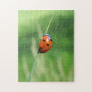 Recherche de coccinelle puzzles Vert