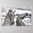 Suche nach kelpie poster Pferde