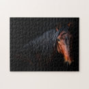 Recherche de le cheval puzzles Animal