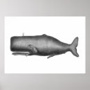 Suche nach wal poster Illustration