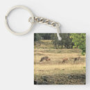 Suche nach maultier schlüsselanhänger Natur