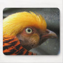 Suche nach fasan mousepads Vögel