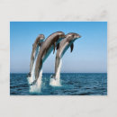 Suche nach springende delphine poster Aquatisch