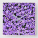 Suche nach violette wanduhren Natur