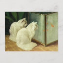 Recherche de poissons rouges cartes postales Huile