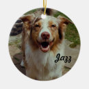 Suche nach australische ornamente Hunde