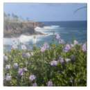 Suche nach hawaii fliesen Urlaub