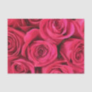 Suche nach tiefrosa rose Rosen