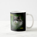 Recherche de chat de lol tasses Chaton