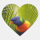 Recherche de oiseaux exotiques autocollants Jungle