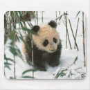 Recherche de sichuan tapis souris Faune