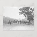 Recherche de paquet de cartes postales Historique