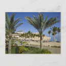 Recherche de muscat cartes postales Vacances