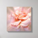 Suche nach helle farbe poster leinwandbilder Rosa