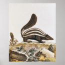 Recherche de histoire naturelle Animal