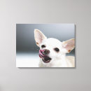 Suche nach chihuahua leinwandbilder Natur