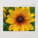 Recherche de susan cartes postales Jardin