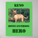 Recherche de canin art Os