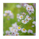 Suche nach lila felder fliesen Sommer