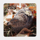 Suche nach blatt ornamente Tier