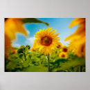 Suche nach attraktiv poster Phantastisch