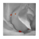 Recherche de pâlissez le rose Gris