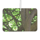 Recherche de arbre vert voiture accessoires Nature