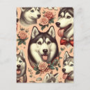 Suche nach sibirisch postkarten Sibirischer husky