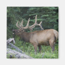Recherche de banff magnets Environnement