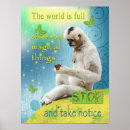 Suche nach gibbone poster Affe