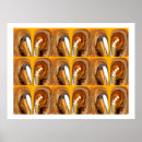 Suche nach höhlen poster Braun