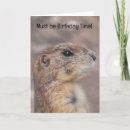Recherche de marmottes vœux cartes Amusant