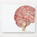 Suche nach menschliches gehirn mousepads Leute