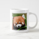 Suche nach roter panda tassen Pandas