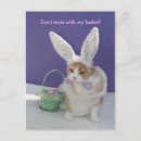 Suche nach korb postkarten Hase