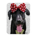 Recherche de labrador noir magnets Contemporain