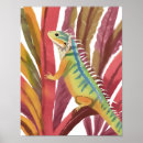 Suche nach curaçao poster Karibik